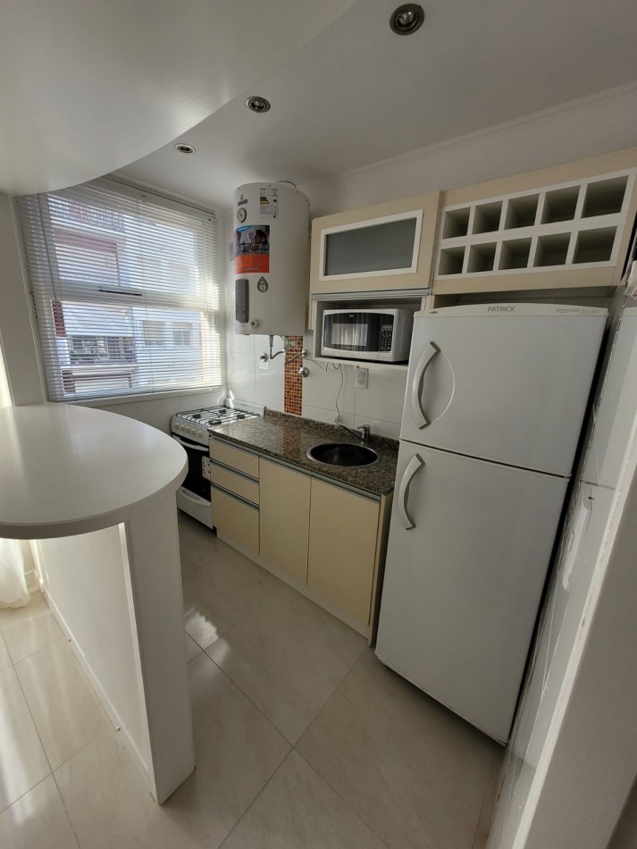 AMBIENTE Y MEDIO EXTERNO CON BALCON FRANCES -CENTRO-