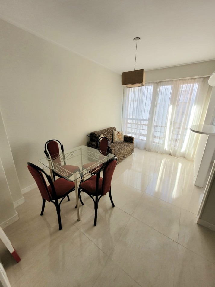 AMBIENTE Y MEDIO EXTERNO CON BALCON FRANCES -CENTRO-