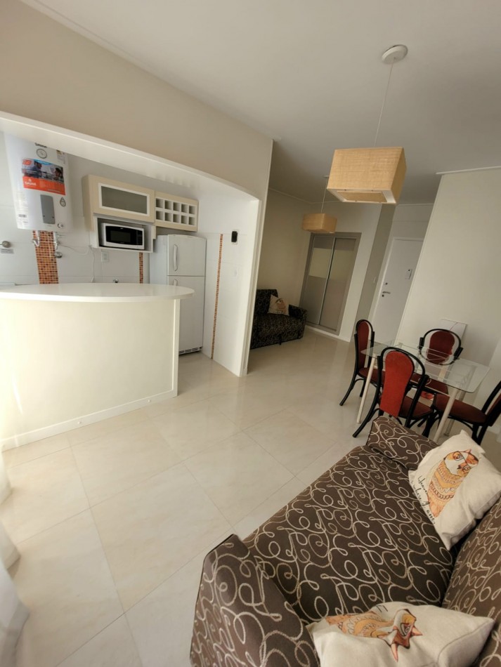 AMBIENTE Y MEDIO EXTERNO CON BALCON FRANCES -CENTRO-